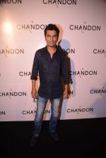 Vikram Phadnis at Moet Hennesey launch of Chandon wines made now in India in Four Seasons, Mumbai on 19th Oct 2013 (116)_5263ef61c5caa.JPG