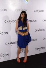 at Moet Hennesey launch of Chandon wines made now in India in Four Seasons, Mumbai on 19th Oct 2013 (108)_5263e7118849f.JPG
