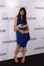 at Moet Hennesey launch of Chandon wines made now in India in Four Seasons, Mumbai on 19th Oct 2013 (109)_5263e71573e99.JPG