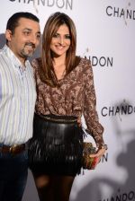 at Moet Hennesey launch of Chandon wines made now in India in Four Seasons, Mumbai on 19th Oct 2013 (13)_5263e66b16111.JPG