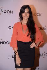 at Moet Hennesey launch of Chandon wines made now in India in Four Seasons, Mumbai on 19th Oct 2013 (145)_5263e7304b995.JPG