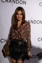 at Moet Hennesey launch of Chandon wines made now in India in Four Seasons, Mumbai on 19th Oct 2013 (17)_5263e67d5d8b6.JPG