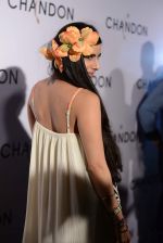 at Moet Hennesey launch of Chandon wines made now in India in Four Seasons, Mumbai on 19th Oct 2013 (3)_5263e65dd3d6c.JPG