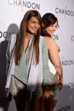 at Moet Hennesey launch of Chandon wines made now in India in Four Seasons, Mumbai on 19th Oct 2013 (43)_5263e6c52e5b9.JPG