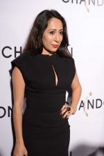 at Moet Hennesey launch of Chandon wines made now in India in Four Seasons, Mumbai on 19th Oct 2013 (75)_5263e6e442029.JPG