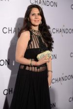 at Moet Hennesey launch of Chandon wines made now in India in Four Seasons, Mumbai on 19th Oct 2013 (81)_5263e6f01082f.JPG