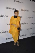 at Moet Hennesey launch of Chandon wines made now in India in Four Seasons, Mumbai on 19th Oct 2013(202)_5263e3d31a748.JPG
