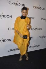 at Moet Hennesey launch of Chandon wines made now in India in Four Seasons, Mumbai on 19th Oct 2013(204)_5263e3d92bc4a.JPG