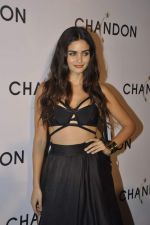 at Moet Hennesey launch of Chandon wines made now in India in Four Seasons, Mumbai on 19th Oct 2013(206)_5263e3df5bab0.JPG