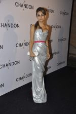 at Moet Hennesey launch of Chandon wines made now in India in Four Seasons, Mumbai on 19th Oct 2013(240)_5263e40f6e5fc.JPG