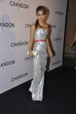 at Moet Hennesey launch of Chandon wines made now in India in Four Seasons, Mumbai on 19th Oct 2013(241)_5263e4128e439.JPG