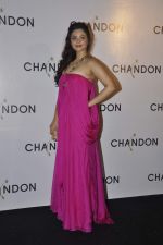 at Moet Hennesey launch of Chandon wines made now in India in Four Seasons, Mumbai on 19th Oct 2013(284)_5263e43c2b0f7.JPG