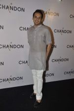at Moet Hennesey launch of Chandon wines made now in India in Four Seasons, Mumbai on 19th Oct 2013(307)_5263e47125a9c.JPG