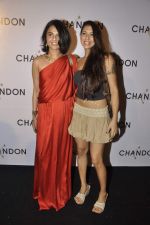 at Moet Hennesey launch of Chandon wines made now in India in Four Seasons, Mumbai on 19th Oct 2013(313)_5263e4804bdc9.JPG