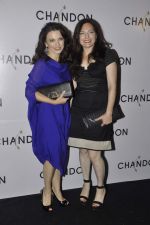at Moet Hennesey launch of Chandon wines made now in India in Four Seasons, Mumbai on 19th Oct 2013(325)_5263e49278b69.JPG