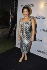 at Moet Hennesey launch of Chandon wines made now in India in Four Seasons, Mumbai on 19th Oct 2013(332)_5263e49dd2e31.JPG