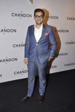 at Moet Hennesey launch of Chandon wines made now in India in Four Seasons, Mumbai on 19th Oct 2013(340)_5263e4ad07e85.JPG