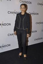 at Moet Hennesey launch of Chandon wines made now in India in Four Seasons, Mumbai on 19th Oct 2013(365)_5263e4d5da2c9.JPG