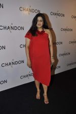 at Moet Hennesey launch of Chandon wines made now in India in Four Seasons, Mumbai on 19th Oct 2013(382)_5263e4f2ad291.JPG