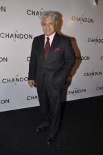 at Moet Hennesey launch of Chandon wines made now in India in Four Seasons, Mumbai on 19th Oct 2013(392)_5263e4f445e8a.JPG