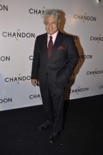 at Moet Hennesey launch of Chandon wines made now in India in Four Seasons, Mumbai on 19th Oct 2013(393)_5263e4f87fcbd.JPG