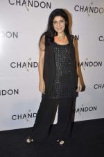 at Moet Hennesey launch of Chandon wines made now in India in Four Seasons, Mumbai on 19th Oct 2013(399)_5263e5020ed5c.JPG