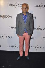 at Moet Hennesey launch of Chandon wines made now in India in Four Seasons, Mumbai on 19th Oct 2013(402)_5263e50aba1f7.JPG