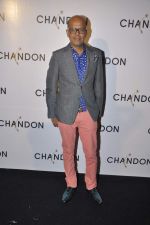 at Moet Hennesey launch of Chandon wines made now in India in Four Seasons, Mumbai on 19th Oct 2013(403)_5263e50dcc102.JPG