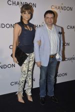 at Moet Hennesey launch of Chandon wines made now in India in Four Seasons, Mumbai on 19th Oct 2013(405)_5263e514129f2.JPG