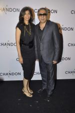 at Moet Hennesey launch of Chandon wines made now in India in Four Seasons, Mumbai on 19th Oct 2013(412)_5263e518a8c18.JPG