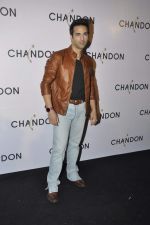 at Moet Hennesey launch of Chandon wines made now in India in Four Seasons, Mumbai on 19th Oct 2013(429)_5263e53786ded.JPG