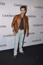 at Moet Hennesey launch of Chandon wines made now in India in Four Seasons, Mumbai on 19th Oct 2013(430)_5263e53a48d71.JPG