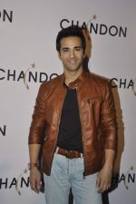 at Moet Hennesey launch of Chandon wines made now in India in Four Seasons, Mumbai on 19th Oct 2013(432)_5263e53f5fd10.JPG