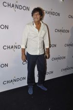 at Moet Hennesey launch of Chandon wines made now in India in Four Seasons, Mumbai on 19th Oct 2013(441)_5263e54be4ee6.JPG
