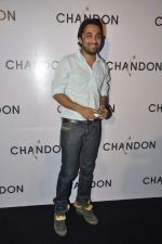 at Moet Hennesey launch of Chandon wines made now in India in Four Seasons, Mumbai on 19th Oct 2013(454)_5263e55d013b8.JPG