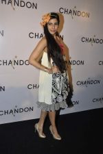 at Moet Hennesey launch of Chandon wines made now in India in Four Seasons, Mumbai on 19th Oct 2013(468)_5263e57739e7c.JPG