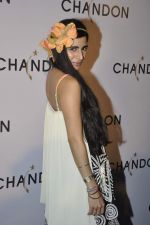 at Moet Hennesey launch of Chandon wines made now in India in Four Seasons, Mumbai on 19th Oct 2013(471)_5263e580cbeca.JPG