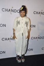 at Moet Hennesey launch of Chandon wines made now in India in Four Seasons, Mumbai on 19th Oct 2013(483)_5263e5966220e.JPG