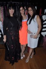 Nishka Lulla, Neeta Lulla, Krishika Lulla at Nishka Lulla_s new online store launch in Bandra, Mumbai on 21st Oct 2013 (73)_52667480202e0.JPG