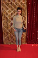 Kainaat Arora at ITA Awards in Mumbai on 23rd Oct 2013_52691ca474c34.jpg