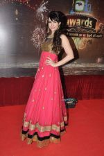 Lauren at ITA Awards in Mumbai on 23rd Oct 2013 (69)_52691df642690.JPG