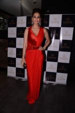 Shaheen Abbas at the Launch of Shaheen Abbas collection for Gehna Jewellers in Mumbai on 23rd Oct 2013 (209)_526918090f2d6.JPG
