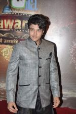at ITA Awards in Mumbai on 23rd Oct 2013 (107)_52691cefb7d25.JPG
