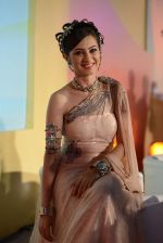Lavina Tandon at Toy Craft_s game launch based on SAB TV_s show Baal veer in Goregaon, Mumbai on 24th Oct 2013 (19)_526a0fcdf1ce0.JPG
