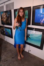 nAYANTRA JAIN at Gallery 7 for Sumer Verma exhibition in Mumbai on 26th Oct 2013_526ce93017d41.JPG