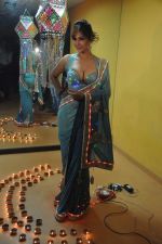 Tanisha Singh Diwali photo shoot in Mumbai on 27th Oct 2013 (30)_526e0890f298a.JPG