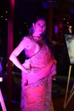 Candice Pinto at Prriya Chabbria festive collection launch in Mumbai on 28th Oct 2013 (66)_526f95d6b85a4.JPG