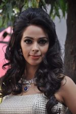 Mallika Sherawat at the grand finale of The Bachelorette in Filmcity, Mumbai on 5th Nov 2013 (51)_527a3987518a1.JPG