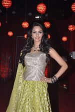 Mallika Sherawat at the grand finale of The Bachelorette in Filmcity, Mumbai on 5th Nov 2013 (60)_527a398a6a795.JPG