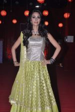 Mallika Sherawat at the grand finale of The Bachelorette in Filmcity, Mumbai on 5th Nov 2013 (66)_527a398c87b1c.JPG